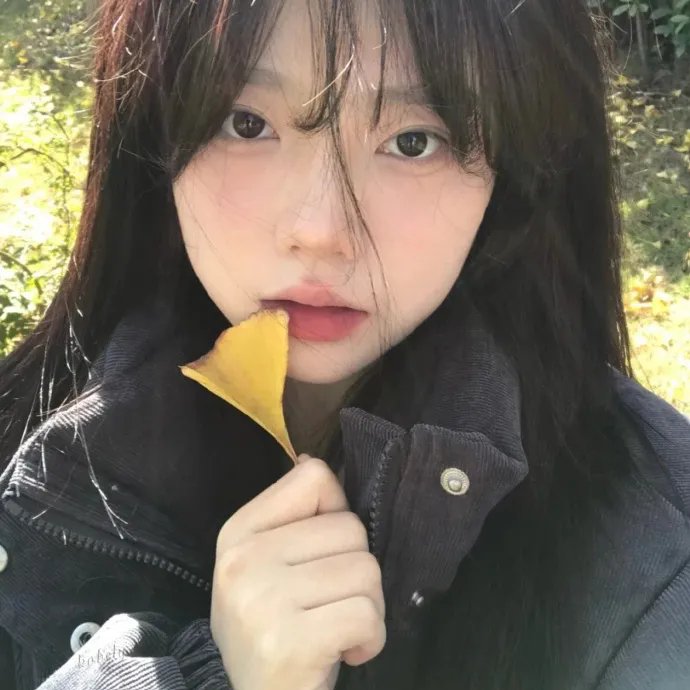 我们在南太平洋上的岛屿